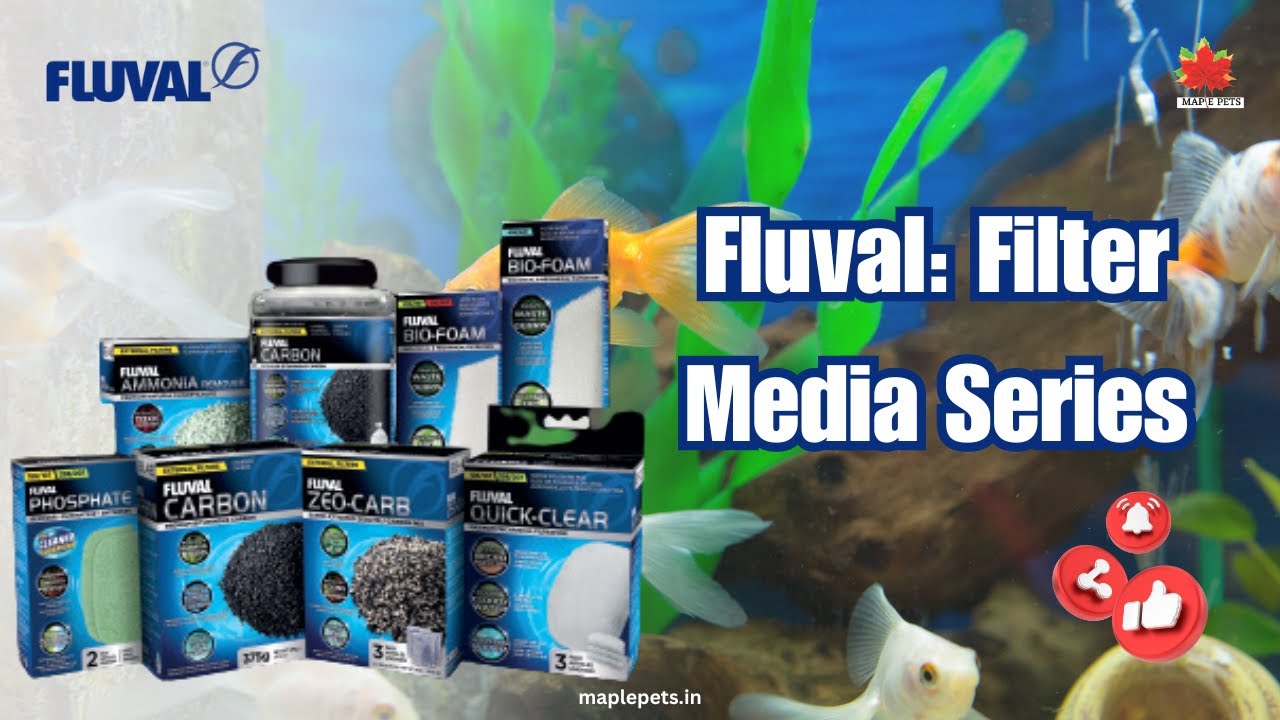 Authentic Fluval Filter Media
