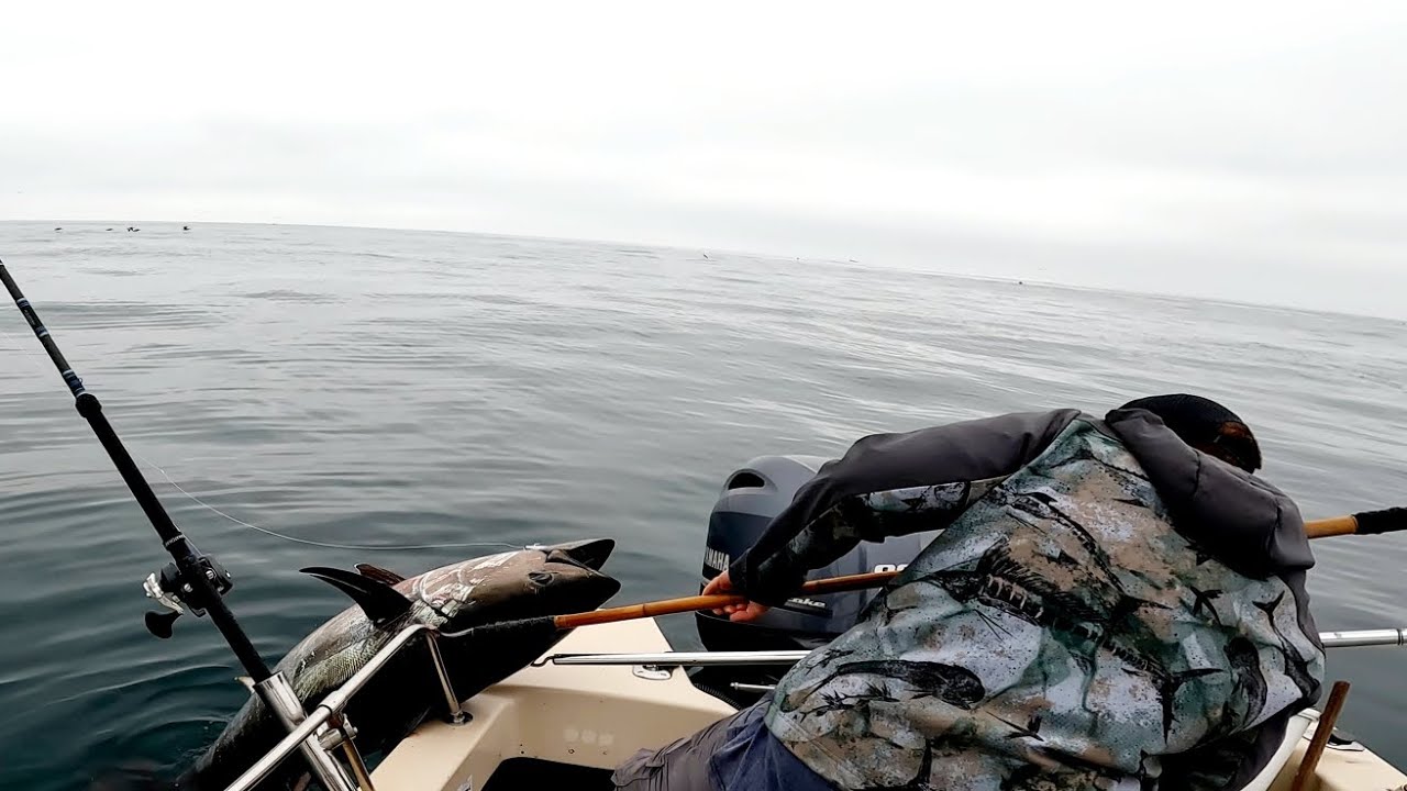 Epic solo bluefin foamer fishing on triple digit fish
