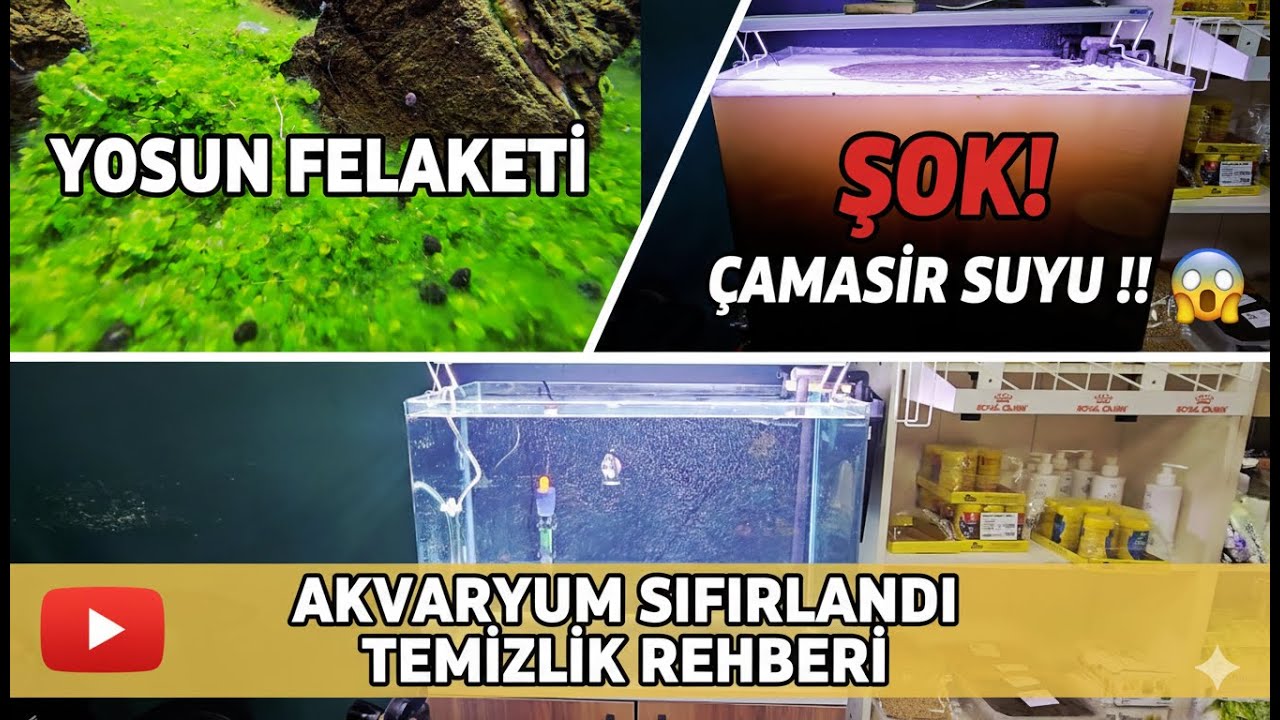 AKVARYUMA ÇAMAŞIR SUYU BASTIM! 😱 Hi-Tech Akvaryumu Neden Sıfırladım?