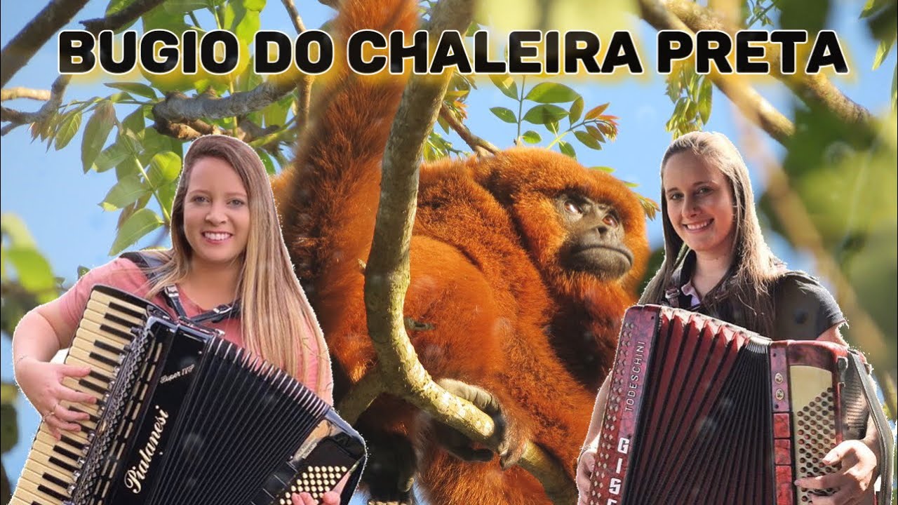 BUGIO DO CHALEIRA PRETA | Gisele Rissi & Jucéli Borsoi