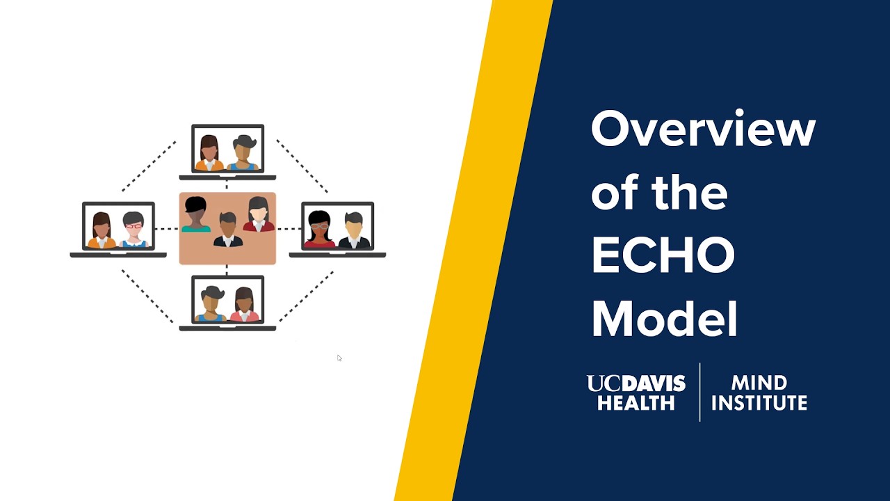 Overview of the ECHO Model (2026)