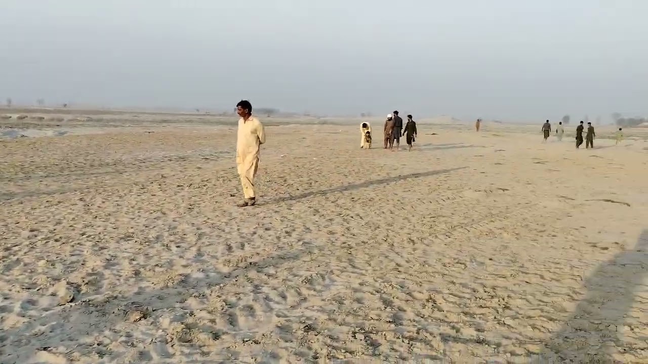 آج آپ کے ساتھ آپ کا بھائی بشارت ڈوگر