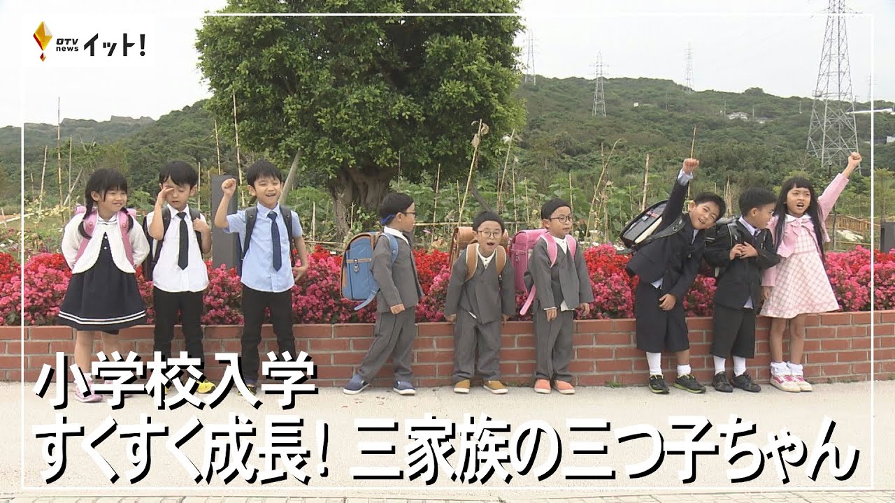 小学校入学　すくすく成長！ 三家族の三つ子ちゃん（沖縄テレビ）2023/3/30