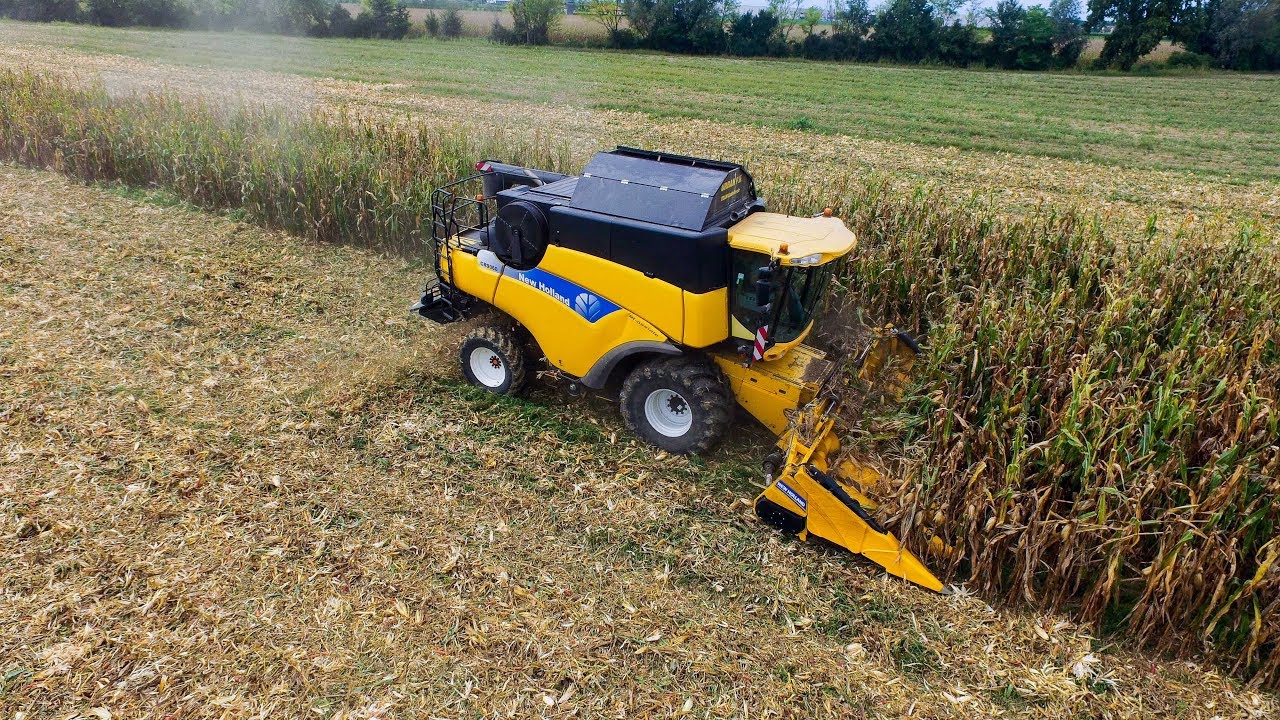New Holland CR9060 8 Row Head | Raccolta Mais 2017 | TEAM GIALLO VERDE