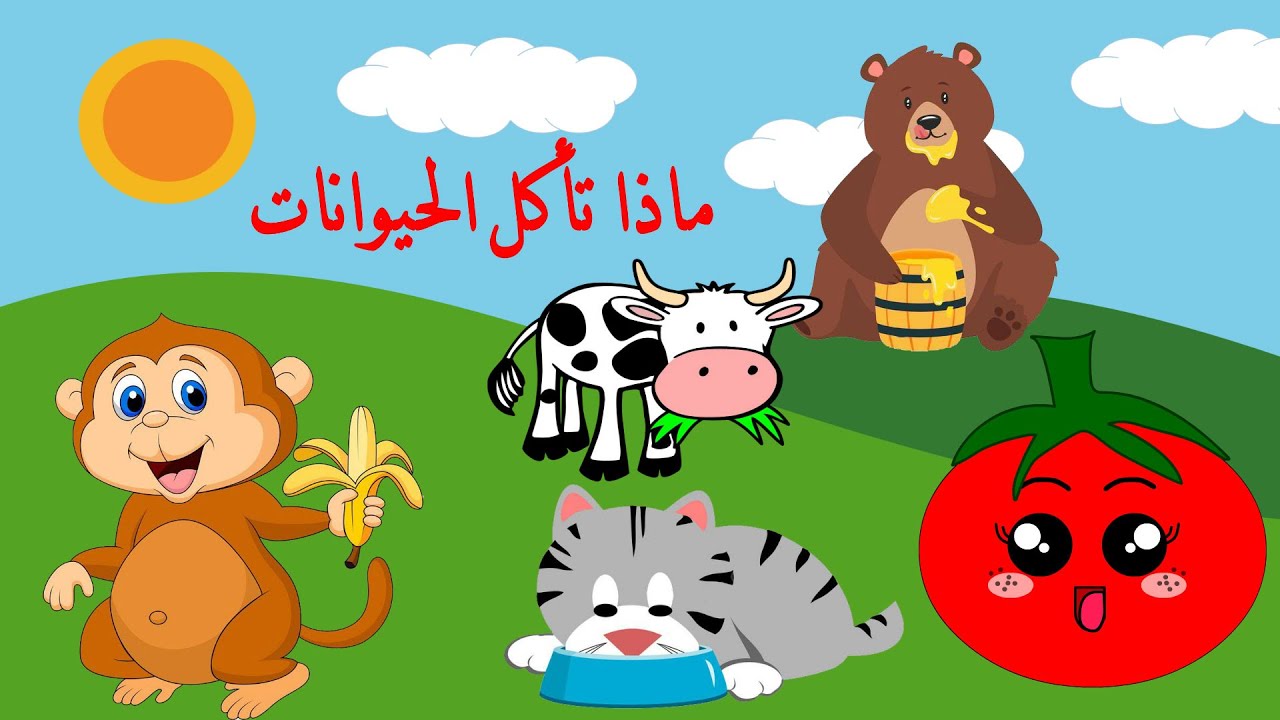 ماذا تأكل الحيوانات ؟ طعام الحيوانات - أكل الحيوانات- الحيوانات - تعليم الأطفال باللغة العربية