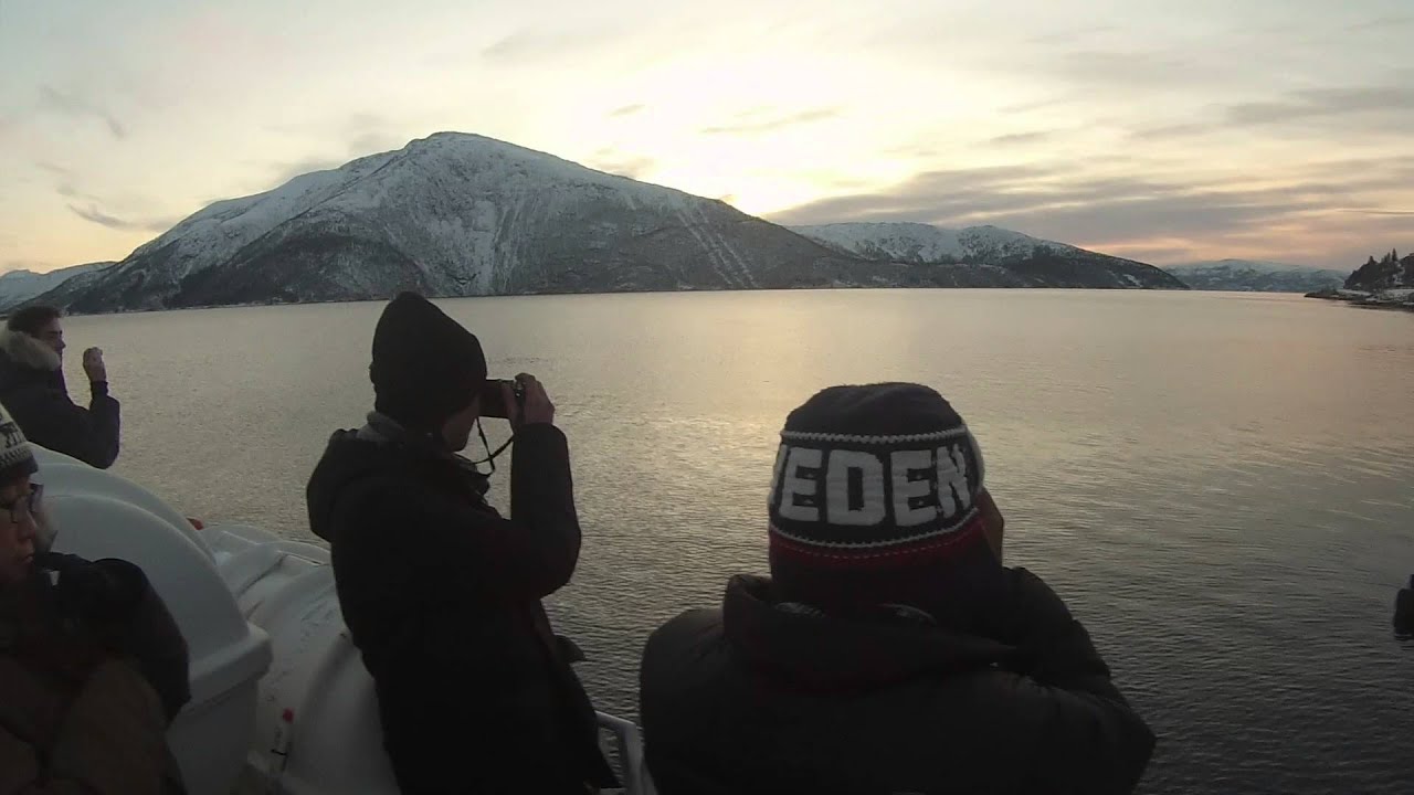Norway trip :  Kiruna/Narvik/Kjopsvik/Musken