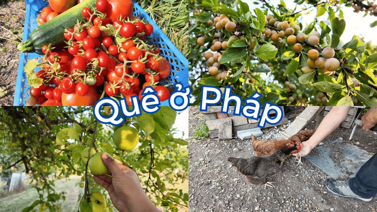 Cuộc sống thôn quê ở Vichy | Nhà vườn 4000m² bình yên