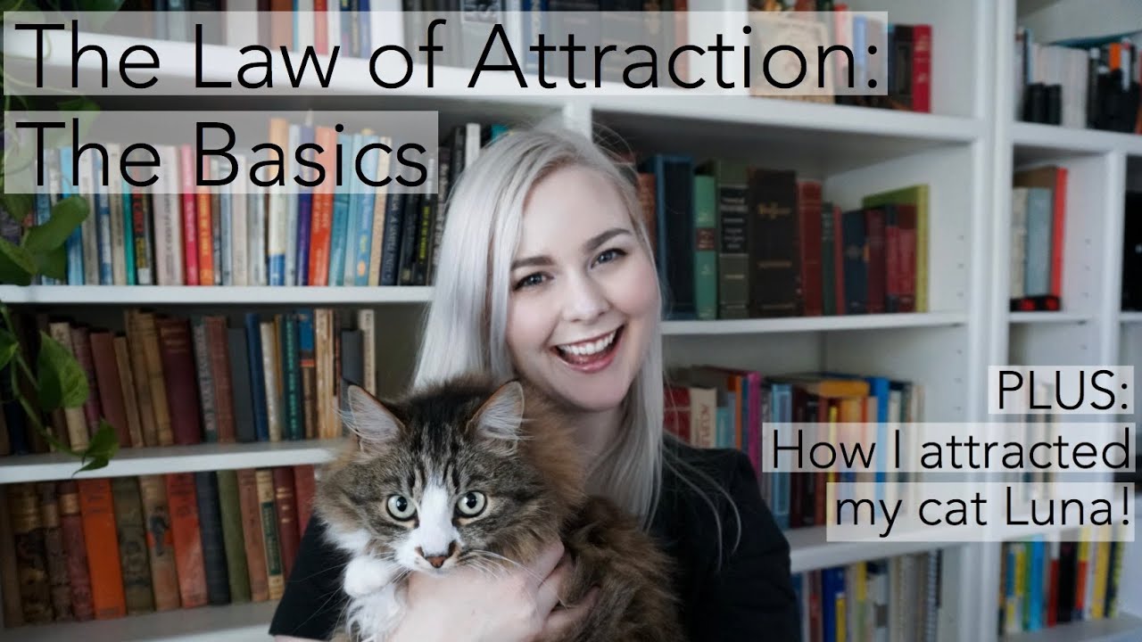 Law of Attraction: The Basics | GET EVERYTHING YOU WANT! How It Works, How to Use It & My Experience