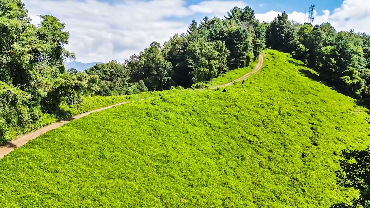 180 Acres of NC Mountain Views — First Time Offered in Two Generations