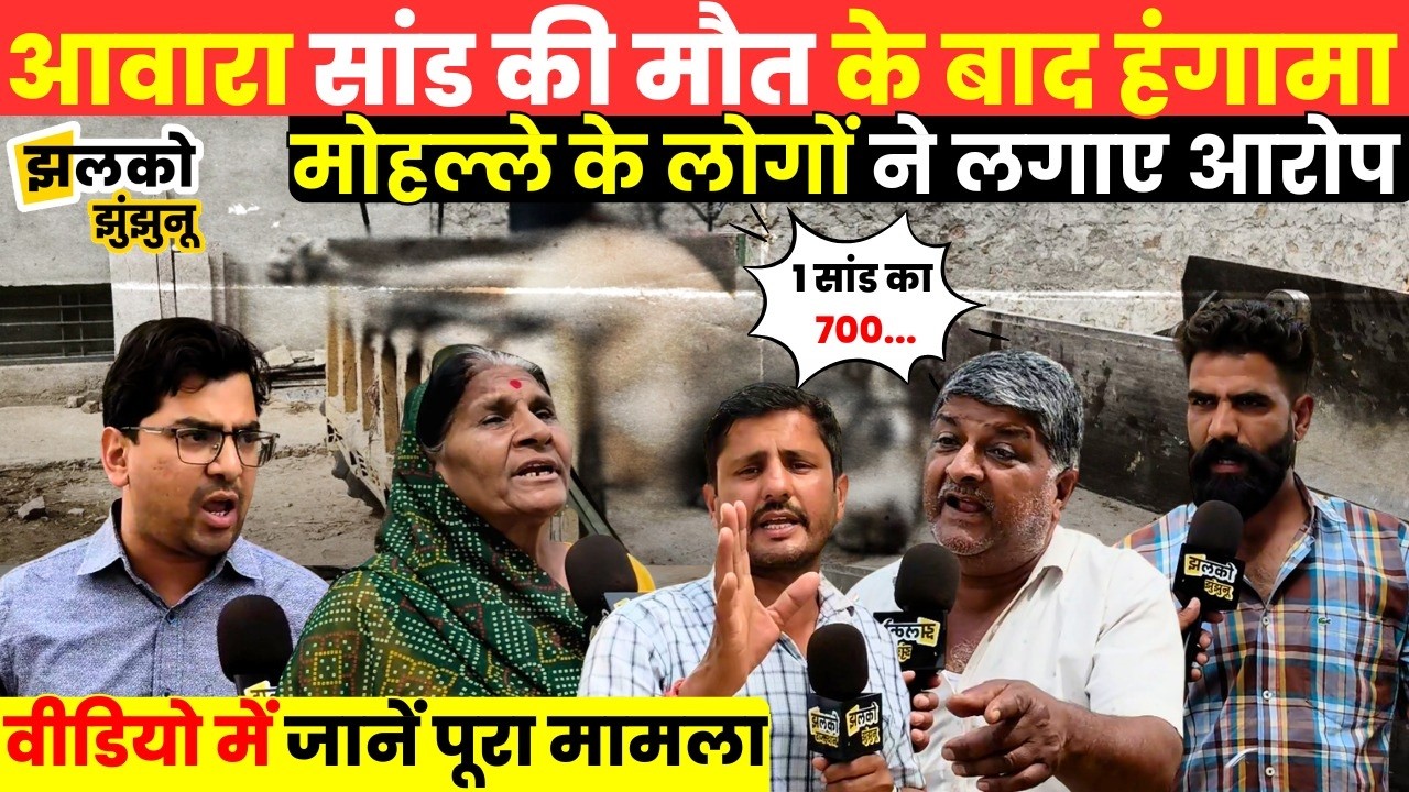 झुंझुनूं  में नंदी के साथ हुई घटना से बवाल ,नगरपालिका पर लगे आरोप - Jhalko Jhunjhunu