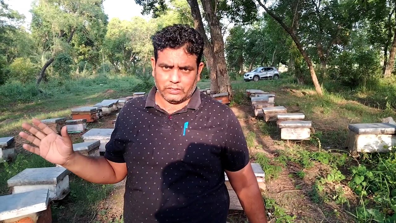 Shree Dev Farm In Himachal||Jamun Honey Farm||Must Watch||Use Headphones For Better Experience||❤️❤️