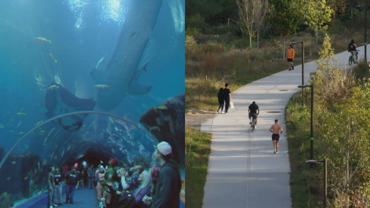 Georgia Aquarium, Beltline, more growing before the FIFA World Cup pays Atlanta a visit | WSB-TV