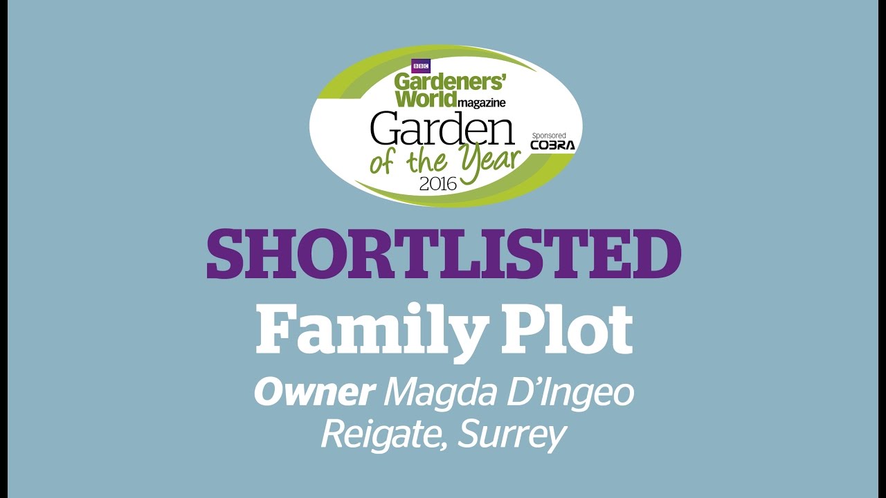Magda D'Ingeo, 'Sensory experience' - Family Plots