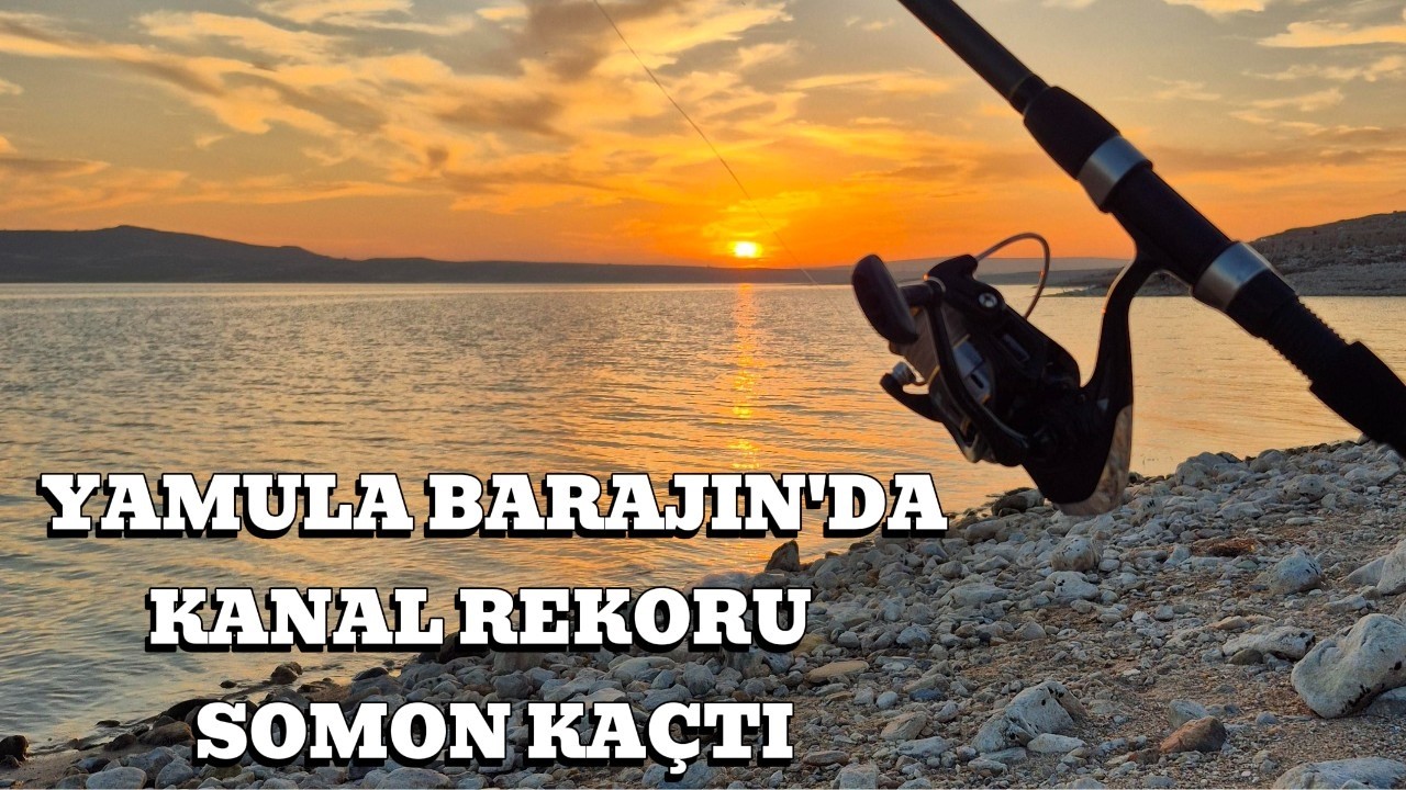 REKOR SOMON KAÇTI... #reels#shortvideo#seafood#seafood#fishing #keşfet#animals #fish #art#subscribe