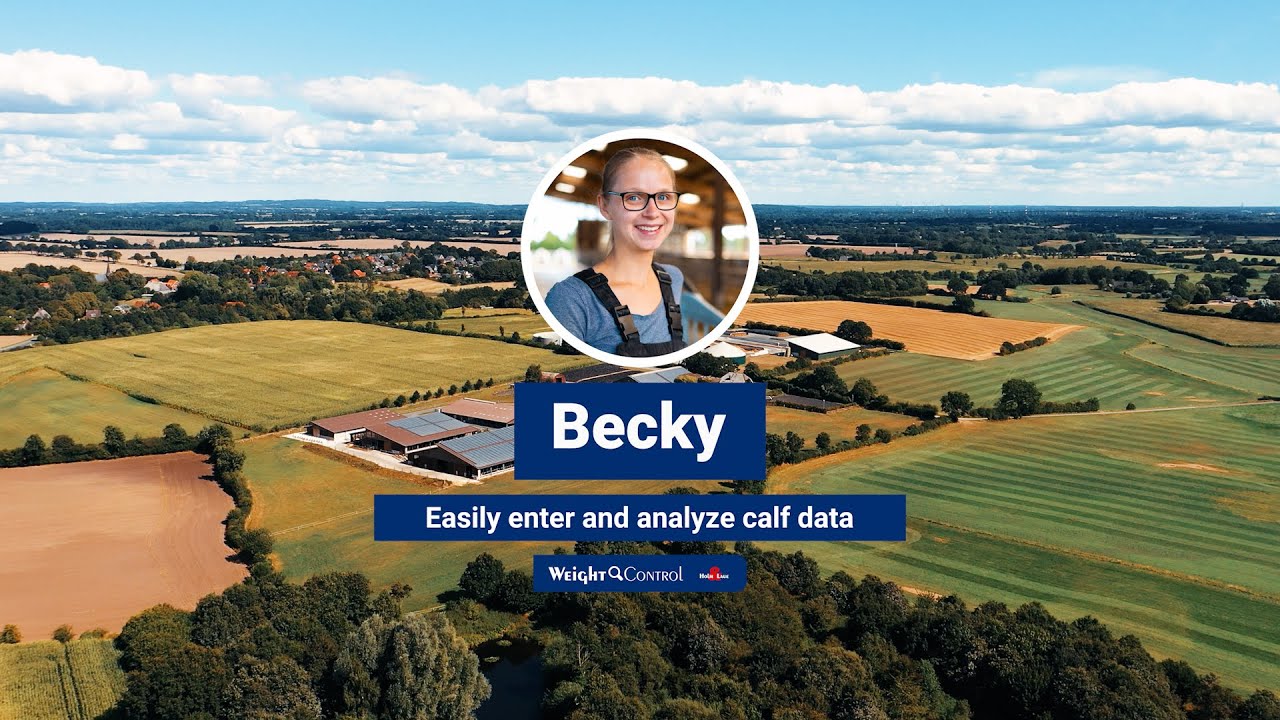 Simply enter and analyse calf data