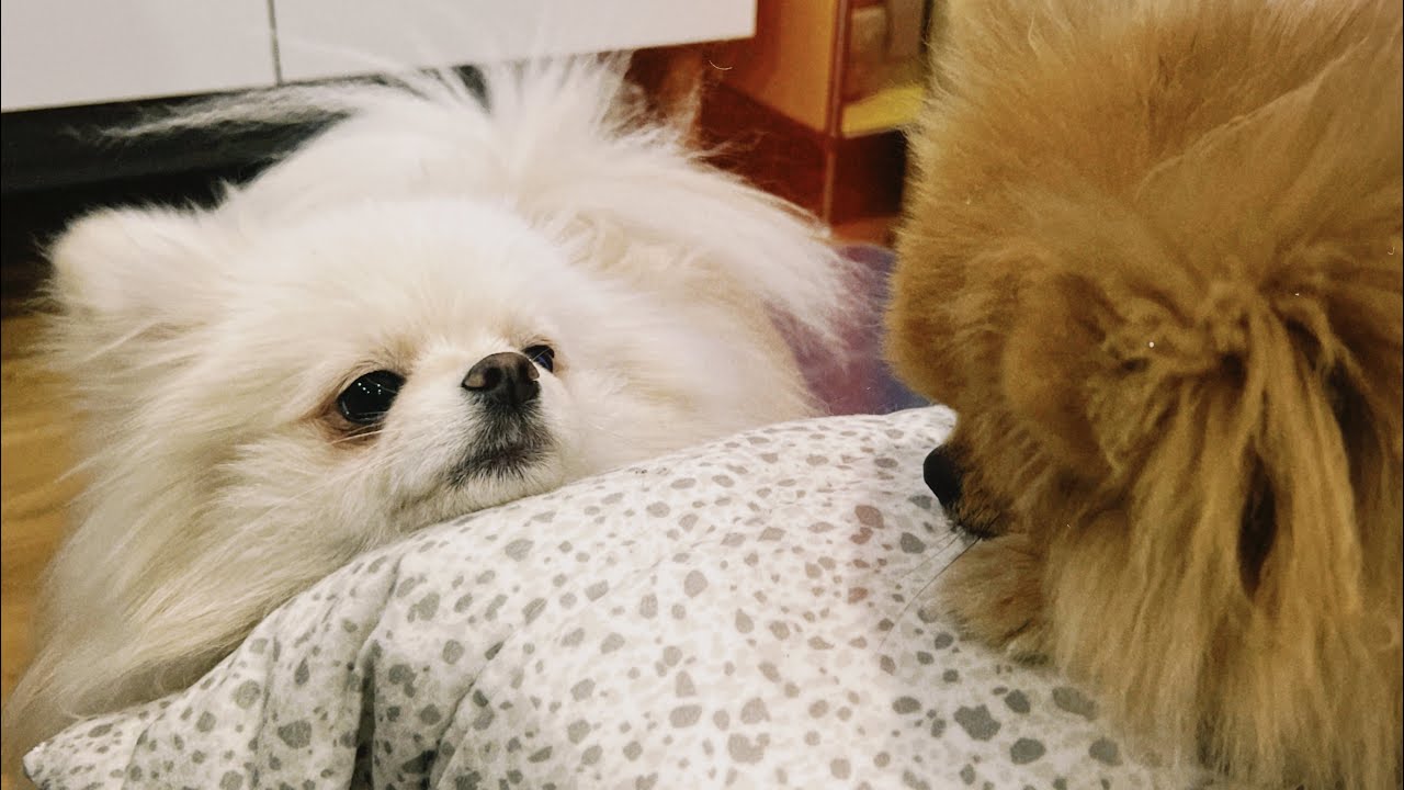 ワンカット ＃２５