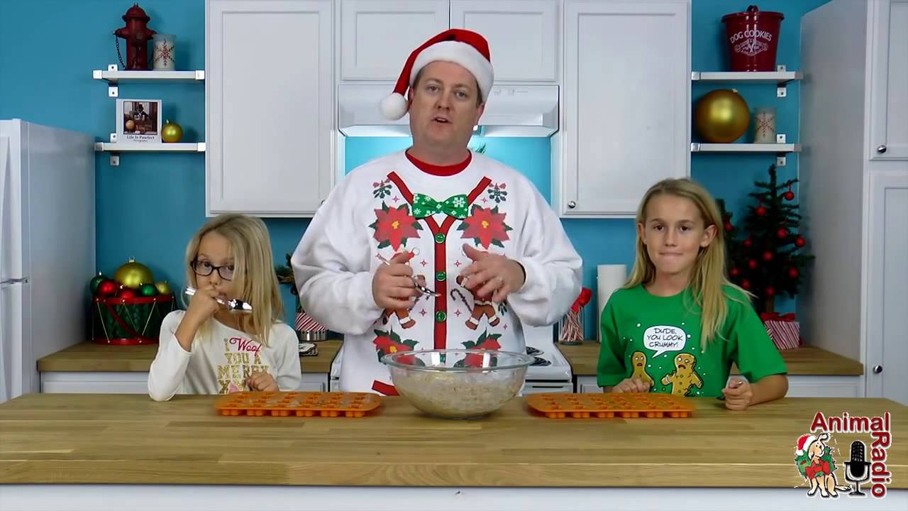 Animal Radio Christmas Cookie Party For Pets Recipe A Pet Parent Tradition