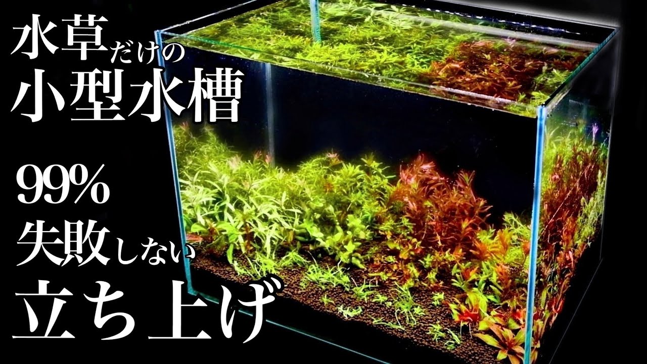 【ｱｸｱﾘｳﾑ/立ち上げ】
