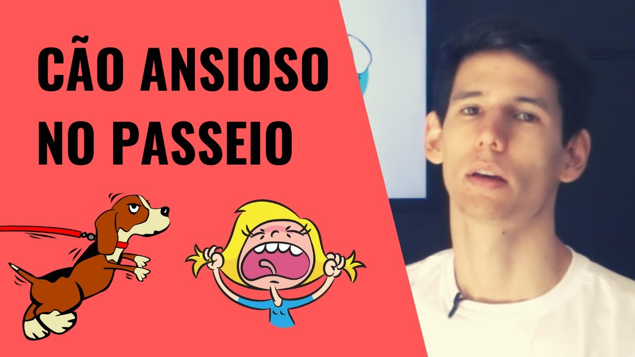 CACHORRO ANSIOSO NO PASSEIO E MUITO AGITADO