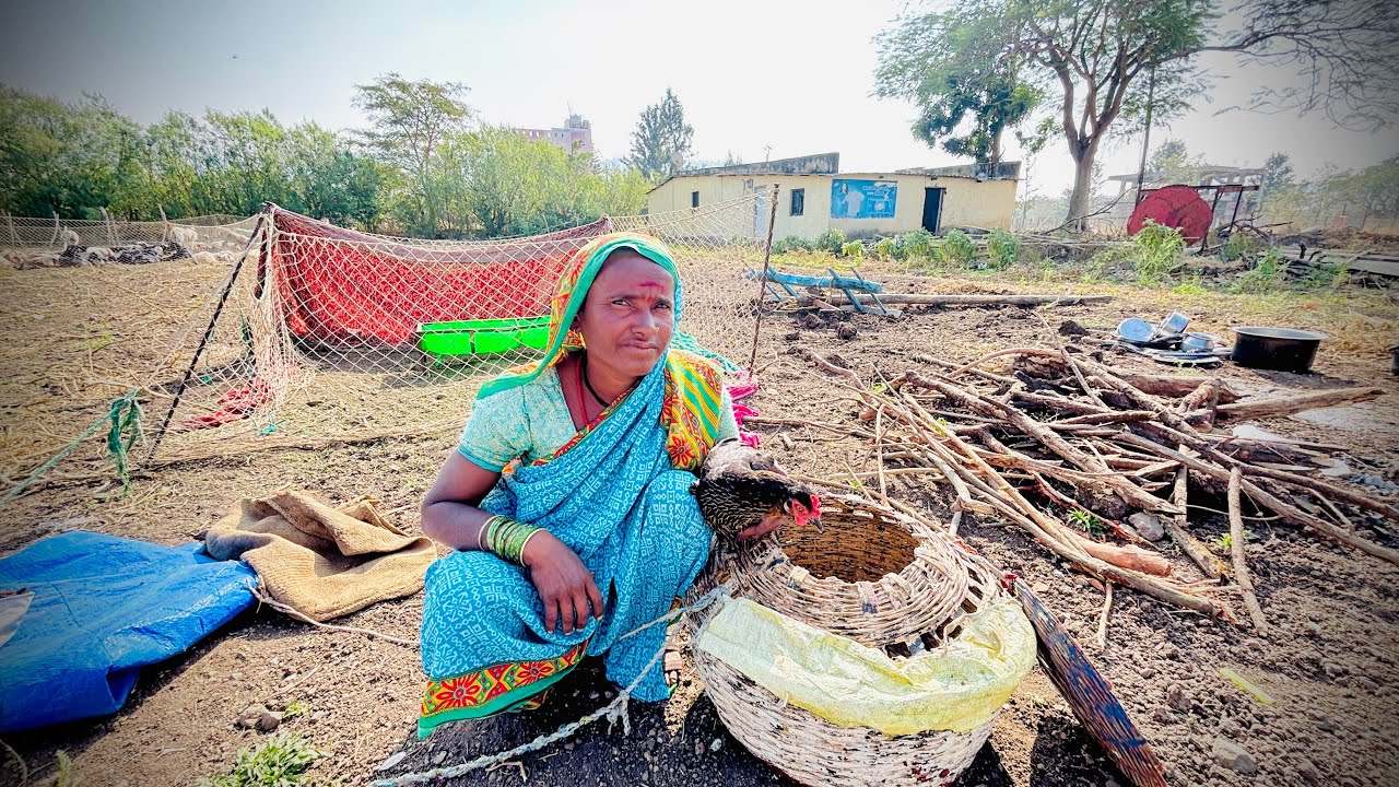 कोंबडीला अंड्यासाठी सकाळ सकाळी आपल्या डालग्यात डालून आम्ही आलो मेंढराकड 😊