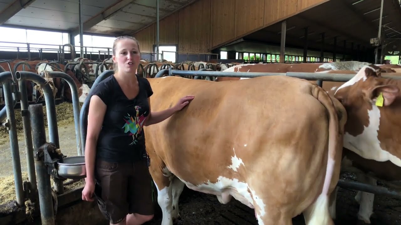 REVOLUTION- Der Allrounder