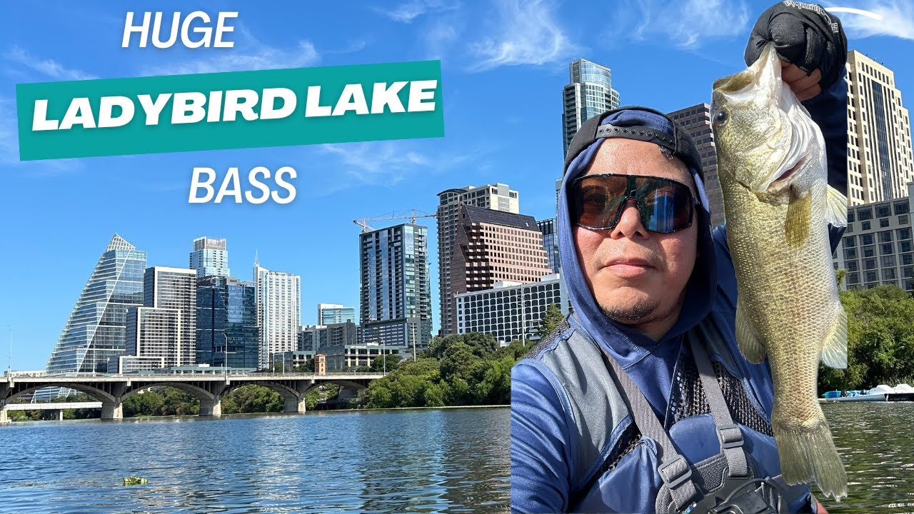 Kayak bass fishing in Ladybird Lake Austin, Tx