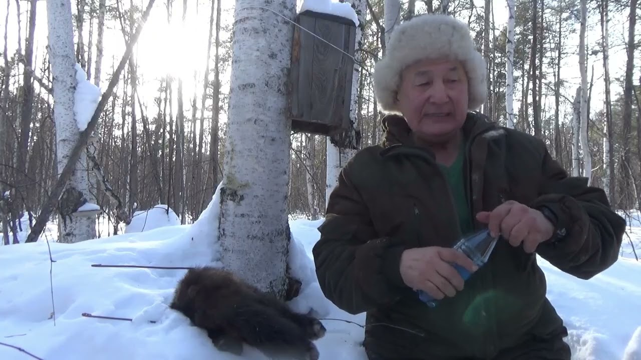 Охота на соболя. Закрытие пушного сезона.