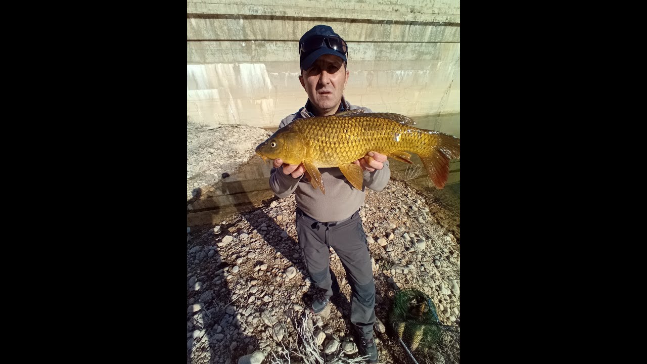 Pantano ,#Moneva 🤦‍♂️🐟PESCA CARPA#
