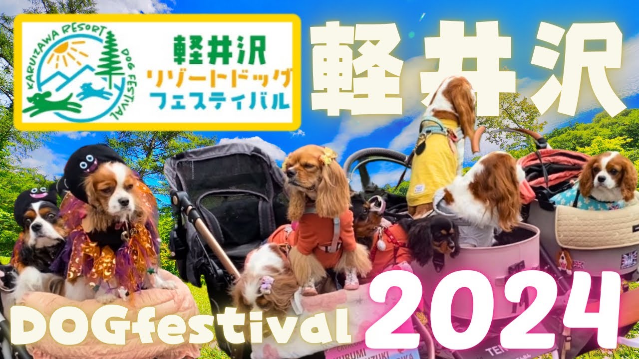 【軽井沢リゾートドッグフェスティバル2024】愛犬と大満喫の一日が楽し過ぎました🐶🐾