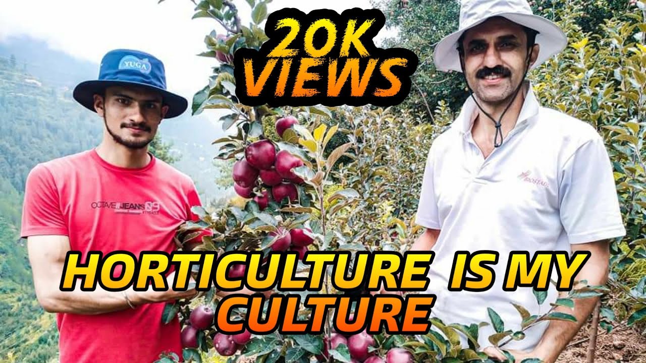 SUN BAAG ORCHARD KOTKHAI🍎 || ▶SUMAN BHICKTA◀ ||