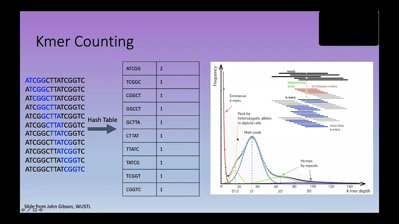 Bioinformatics Lecture 13.5: Kmers (2021)