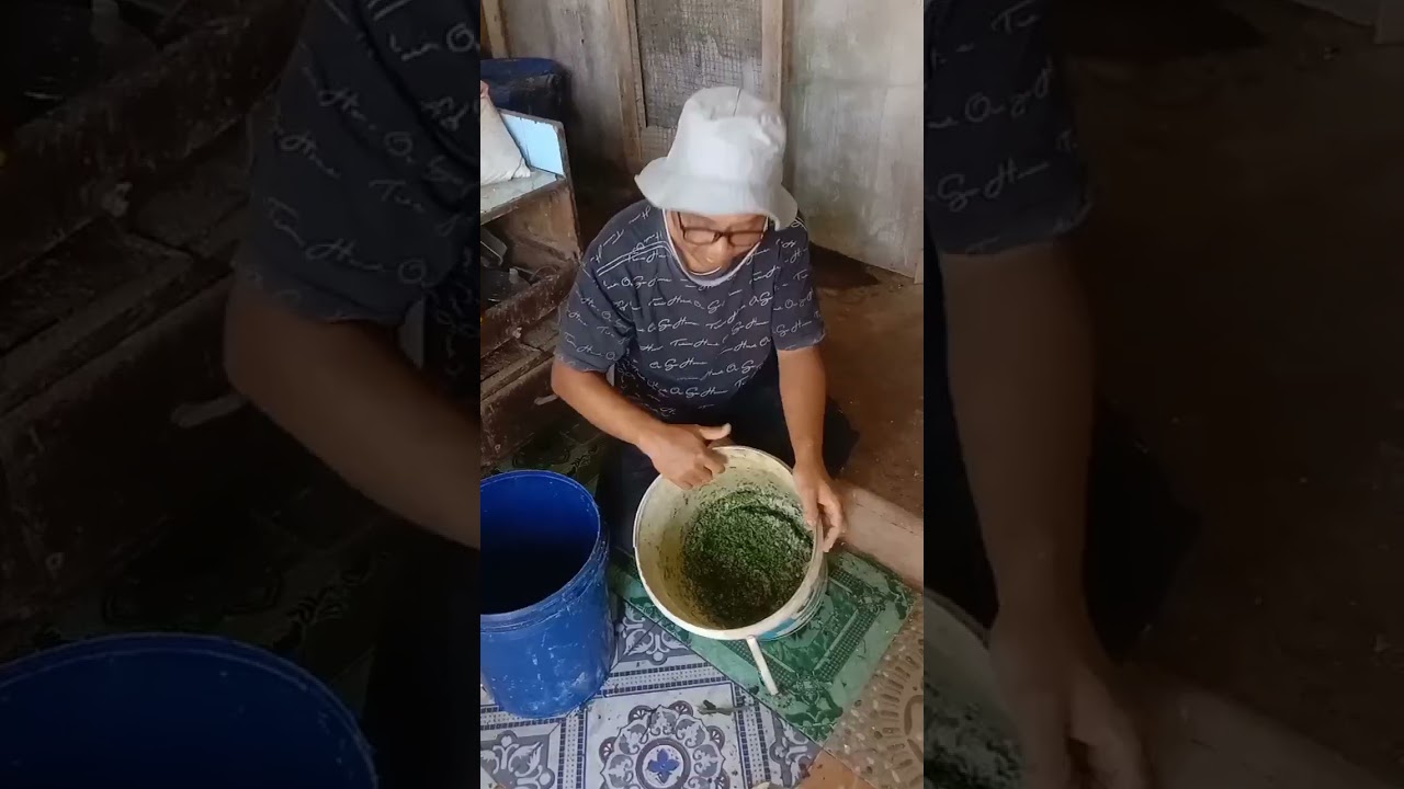 Pembuatan pakan ayam dengan campuran berbagai bahan rumah tangga