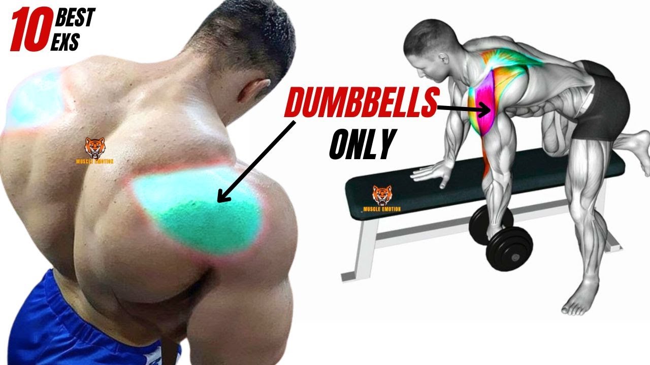 10 best rear deltoid exercises with dumbbells only at home