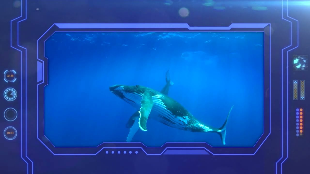 20. El océano y la vida