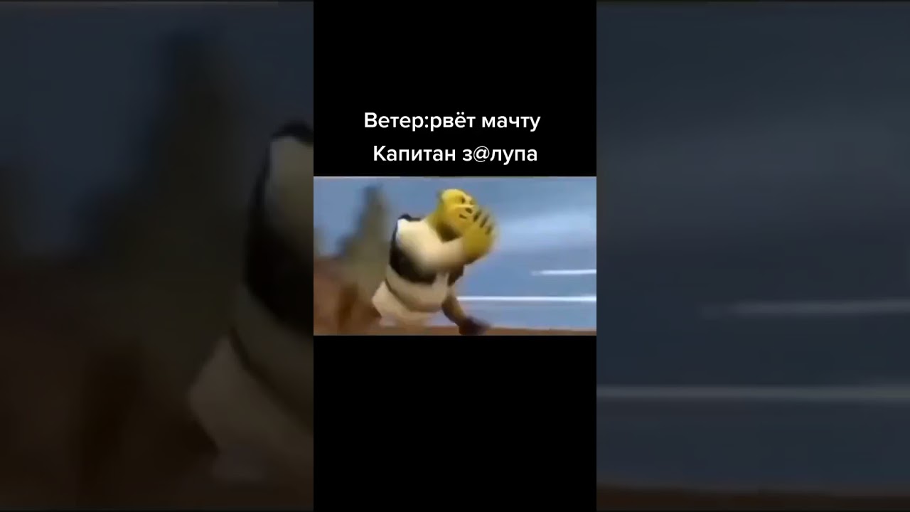 Тик Ток мемы #shorts #345