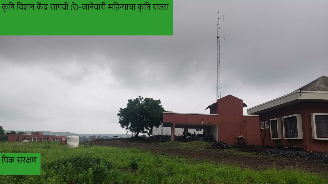 कृषि विज्ञान केंद्र सांगवी (रे) यांच्या तर्फे जानेवारी महिन्याचा संदेश.