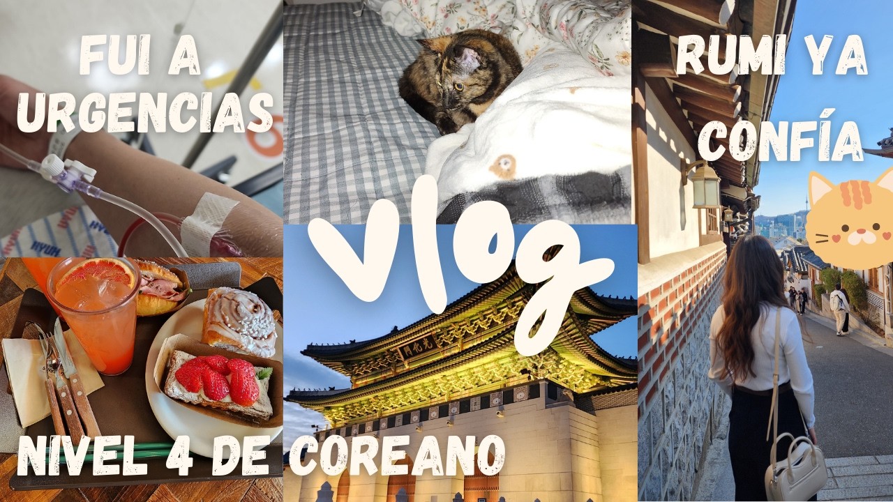Volvieron las migrañas y ya tengo que regresar a clases de coreano 😭 Acepto consejos, tips, AYUDA