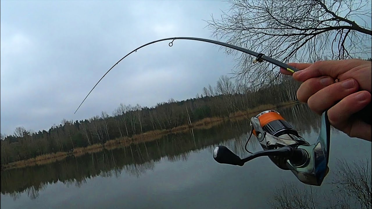 ВОТ ЭТО МОЩЬ! Shimano 22 Stella 2500s РАЗЛОВЛЕНА! Рыбалка