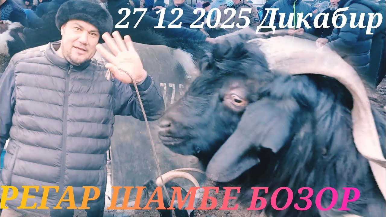 МАЖНИДДИН РЕГАР ШАМБЕ БОЗОР гуспант рархиш