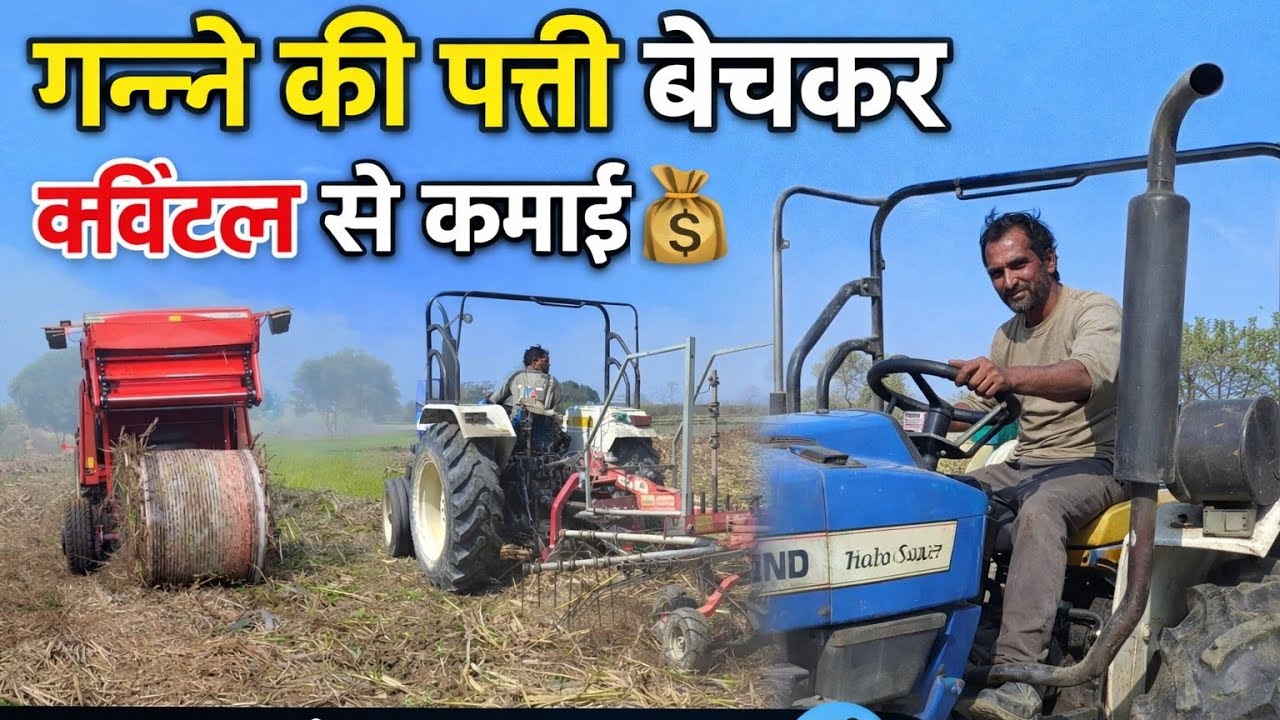 अब गन्ने की पत्ती नहीं जाएगी बेकार 💸 | क्विंटल के हिसाब से पैसा कमाओ 😲 