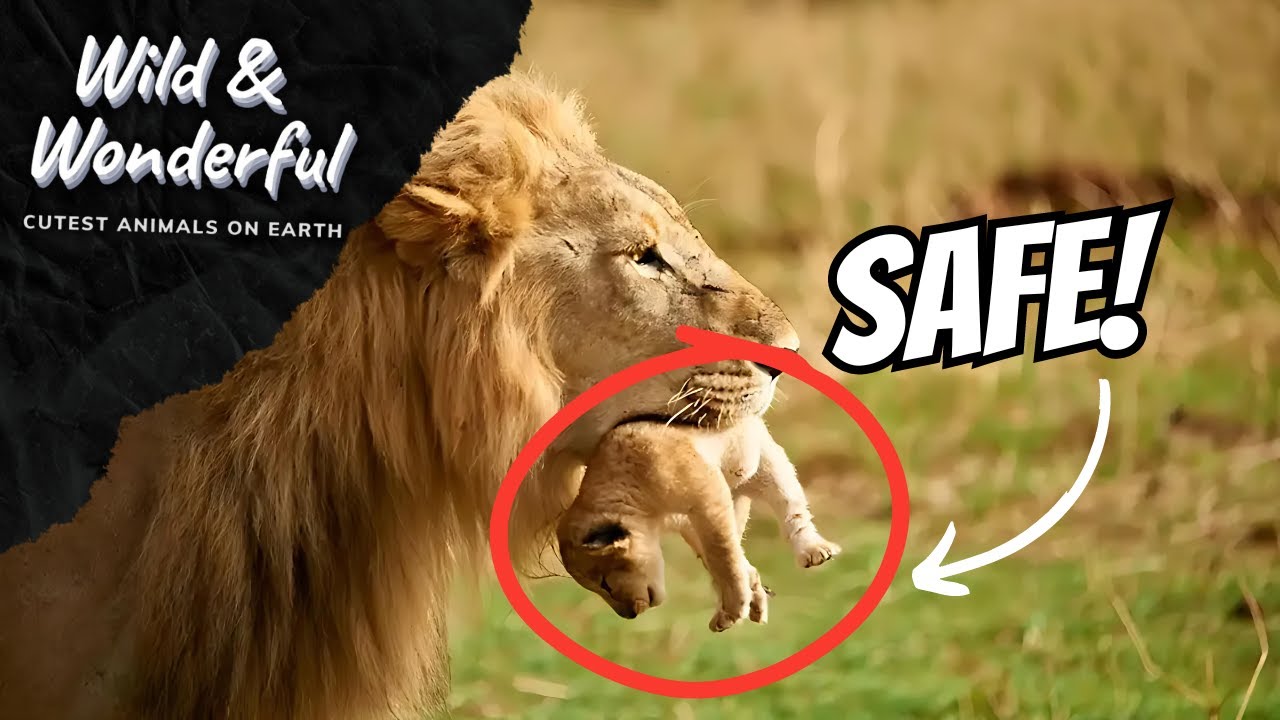 Wildlife Parenting: Unveiling Nature's Most Incredible Tales of Protection!