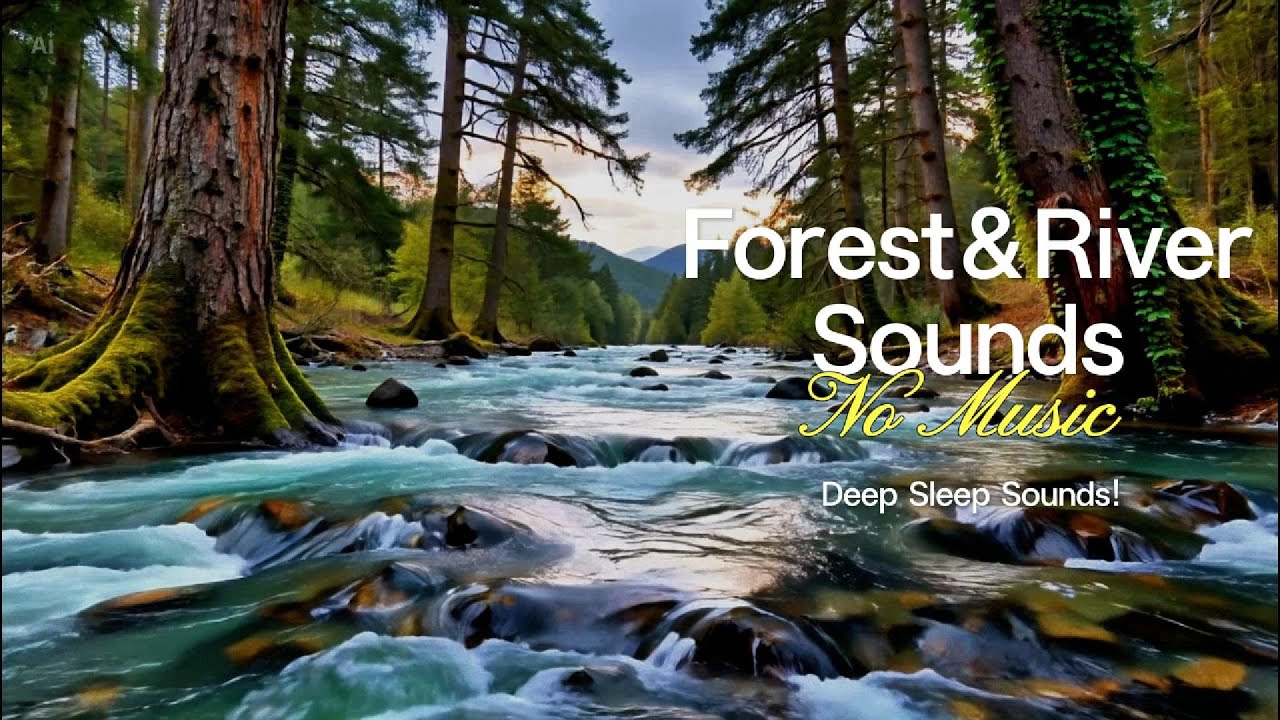 10 Hours Forest River Sounds 🌲 Flowing Water for Deep Sleep | No Music | Moonflow