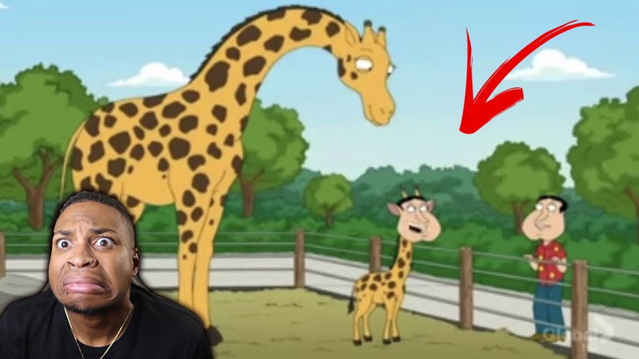 THAT'S HIS BABY!!! Oddly HILARIOUS Moments in Family Guy!! Family Guy Funniest Cutaways