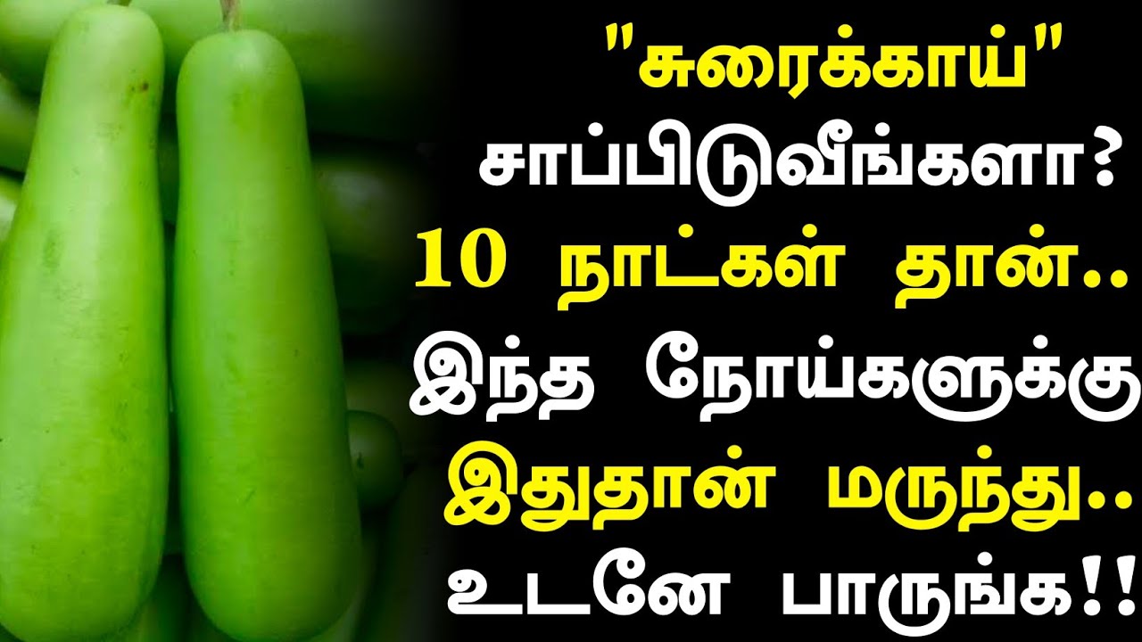 சுரைக்காய் 8 மருத்துவ நன்மைகள்!! Bottle Gourd Health Benefits in Tamil| Health Tips Tamil 