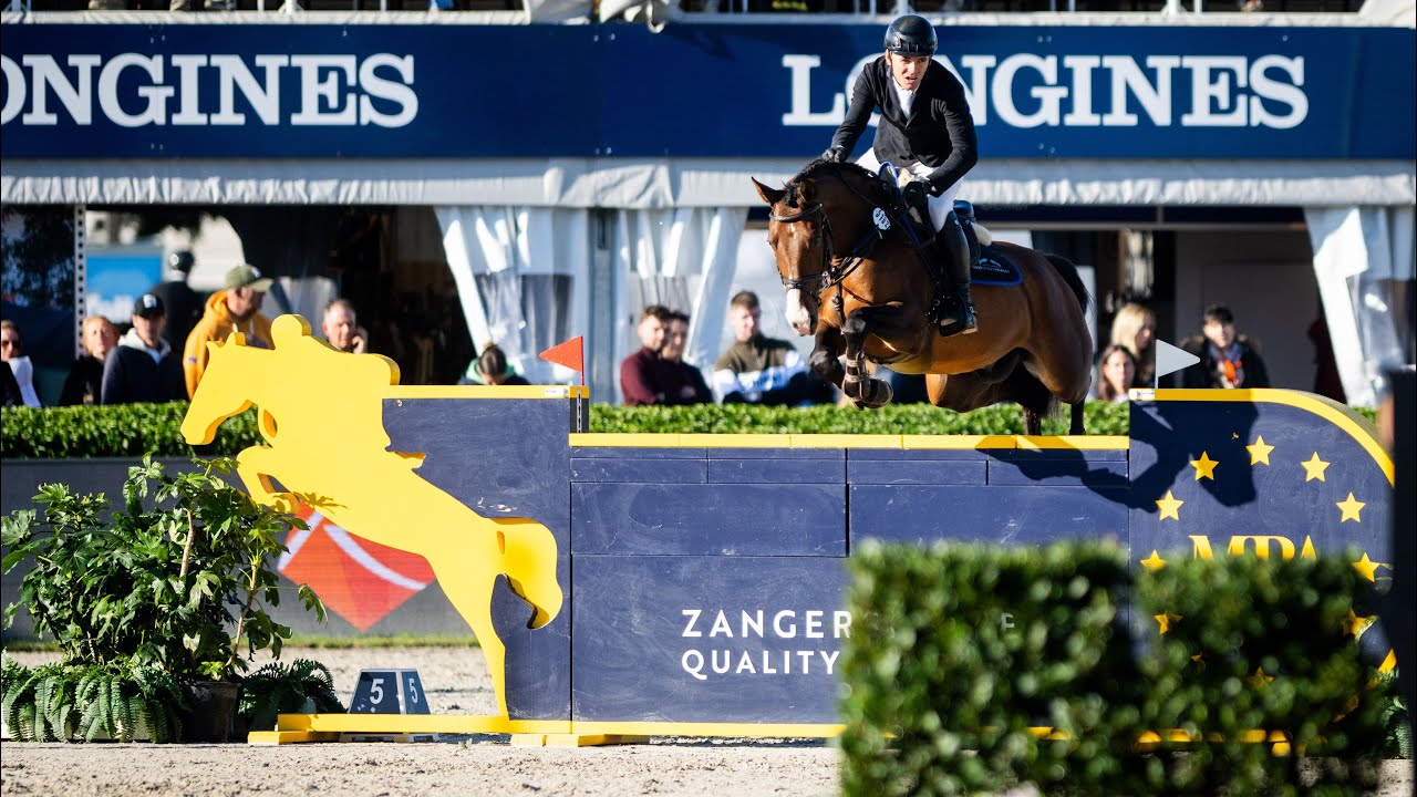 TALOUBEAU OF COLORS Z(Taloubet Z x Clinton)Second Qualifier FEI WBFSH Lanaken 2025-5yo class