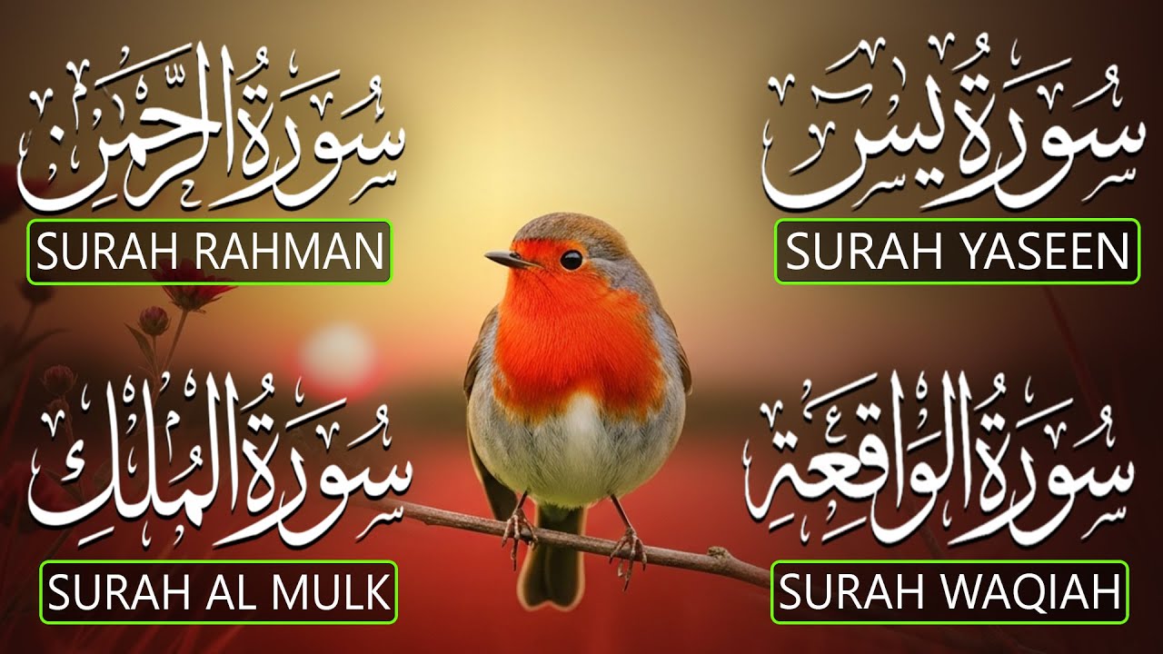 Relax Your Mind Through Quran Tilawat That Soothes Hearts | Surah Yasin  Ar-Rahman Al-Waqiah Al-Mulk