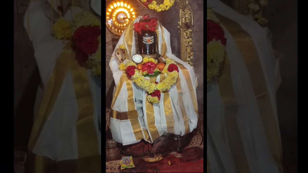 మహాశివరాత్రి సందర్భంగా లింగోద్వ పూజ అన్నాభిషేకం
