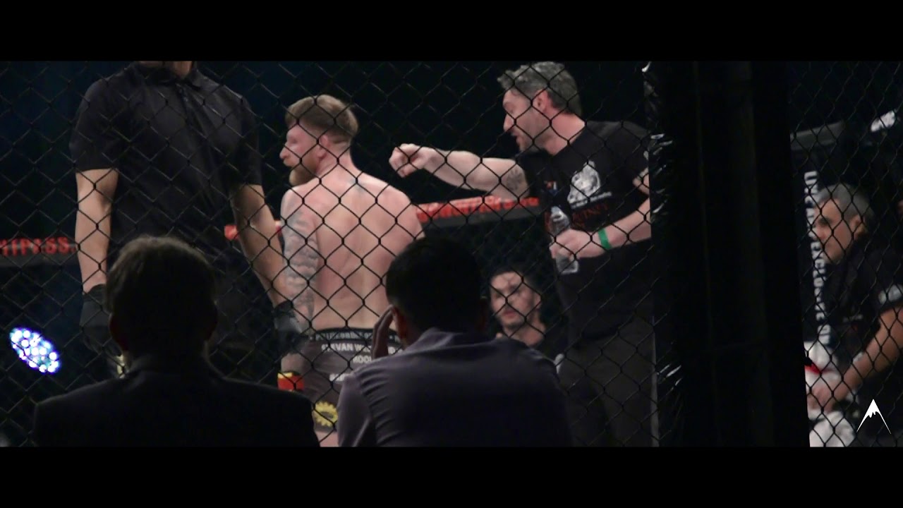 🚨 James Webb v Thomas Robertson Cage Warriors 102 🚨