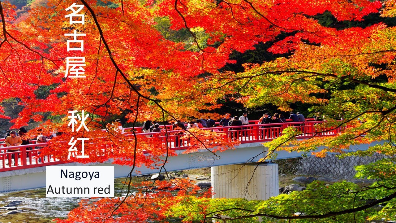 2024明古屋秋天玩甚麼      #景點紅葉 #旅行日本 #豐田 #絕景小原四季櫻&香嵐溪 #香嵐溪  #日本旅遊 #日本中部