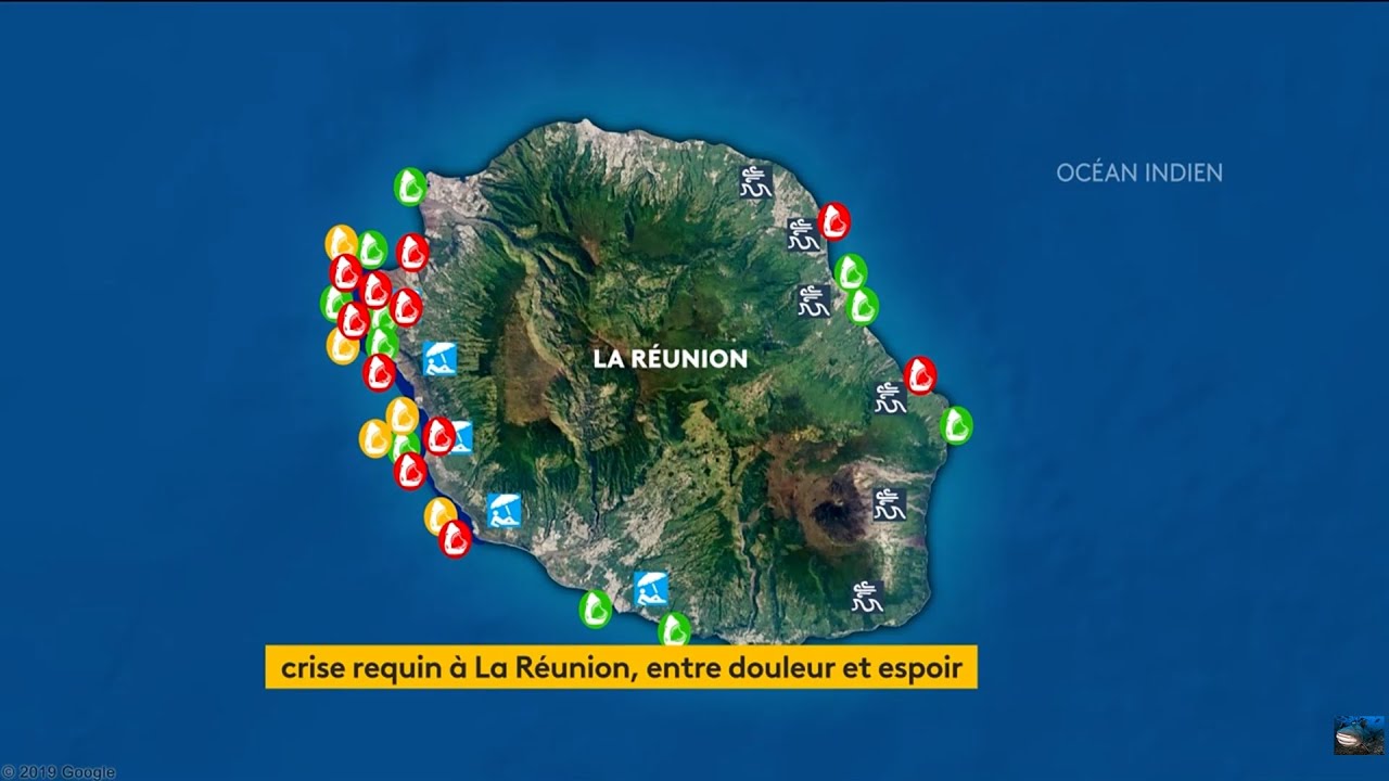 🇷🇪 🦈 RÉUNION : 10 ans de #CriseRequin - 7/05/2021